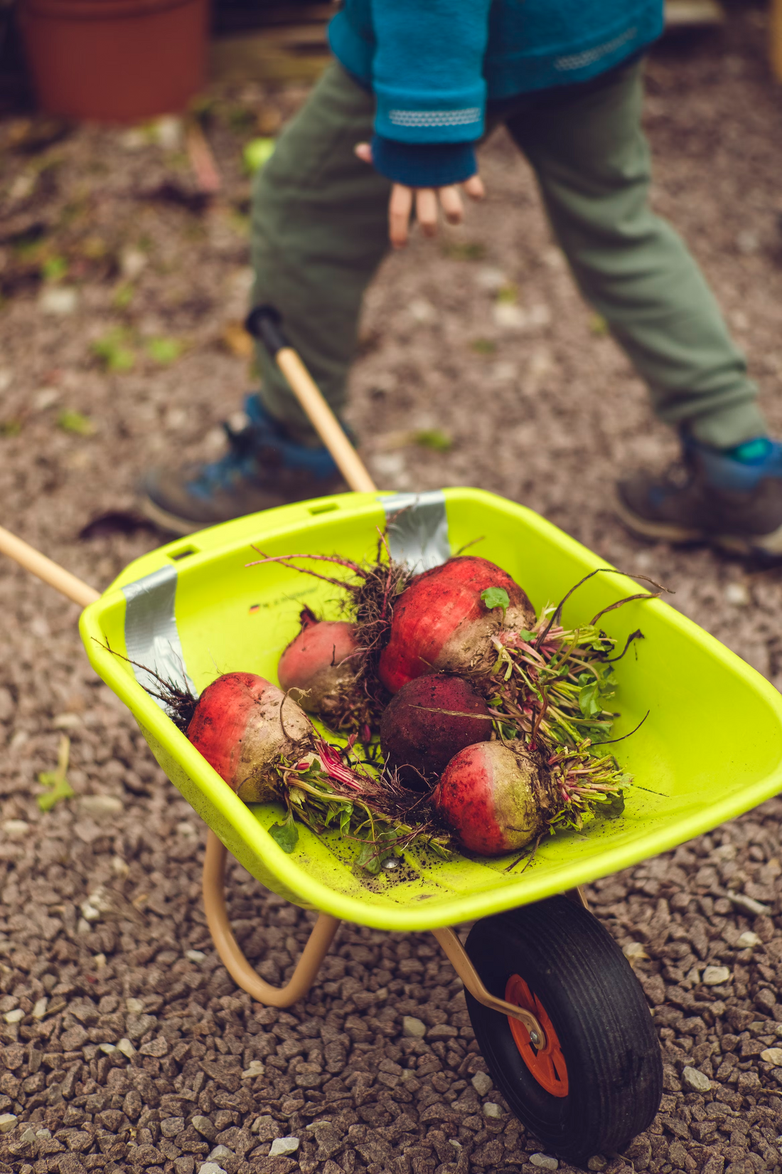 Les meilleurs livres pour commencer avec la permaculture